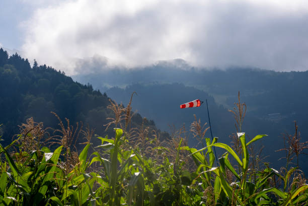istock The windsock indicates the direction and intensity of the wind 1629674137