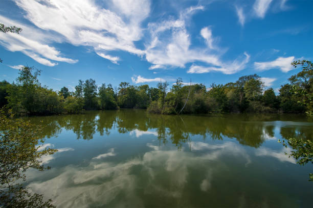 istock Beautiful blue sky and clouds reflection in a pond 1629688403