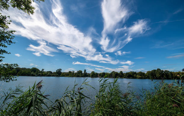 istock Beautiful blue sky and clouds reflection in a pond 1629692984
