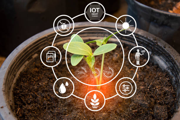 istock The concept of using AI and smart farming. 1629700361