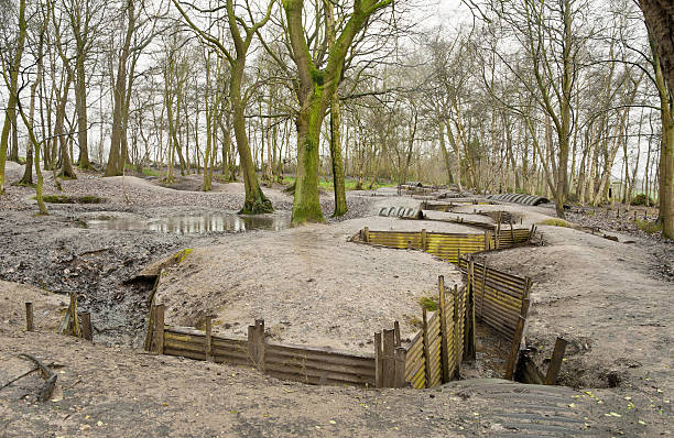 ww1 trenches, sanctuary drewna, ypres, belgia - world war i battlefield nobody mud zdjęcia i obrazy z banku zdjęć