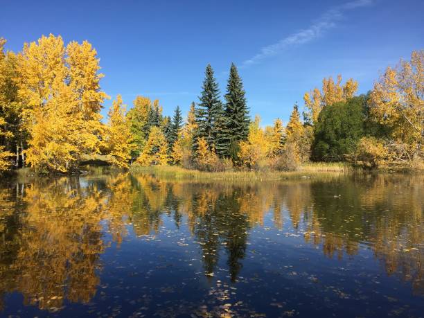 istock Autumn Landscapes 1629711443