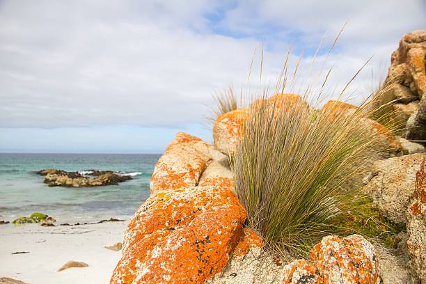 Freycinet 国立公園 ストックフォト