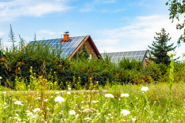 istock Houses with solar panels 1629723186