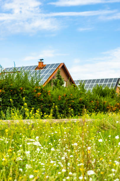 istock Houses with solar panels 1629723189
