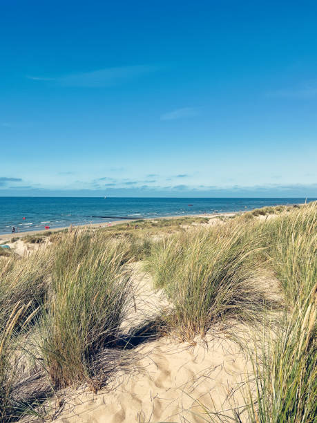 istock North Sea beach with sand dunes 1629728559