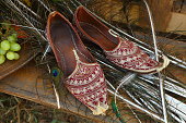 Oriental women's shoes