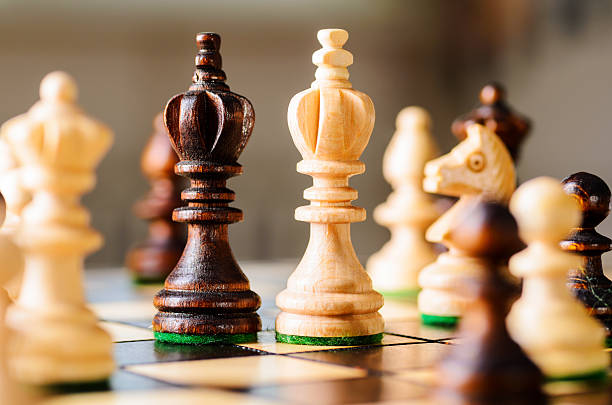 istock wooden chess pieces 162975771