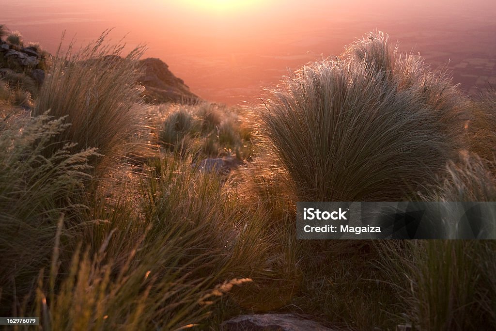 Tramonto nella Sierra - Foto stock royalty-free di Ambientazione esterna