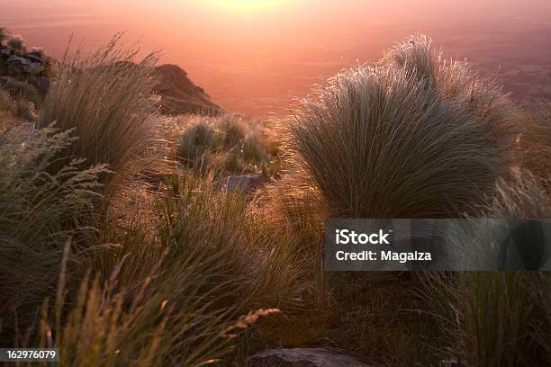 Tramonto Nella Sierra - Fotografie stock e altre immagini di Ambientazione esterna - Ambientazione esterna, Argentina - America del Sud, Attributo floreale