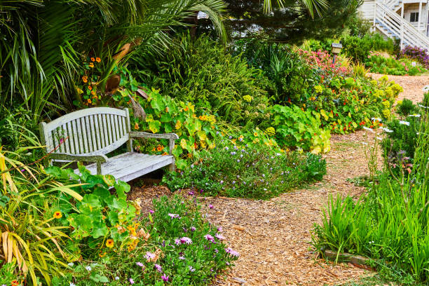 Image of Bench tucked in among flowers and tropical trees with mulch path
