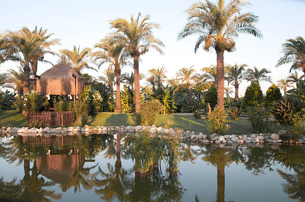 istock Palm Trees and Luxury Asian Style Villas 162979963