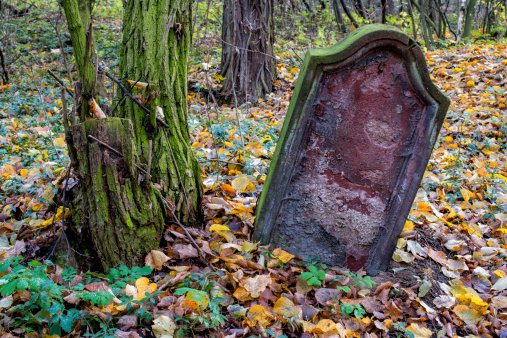old stone cross in the autumn foliage