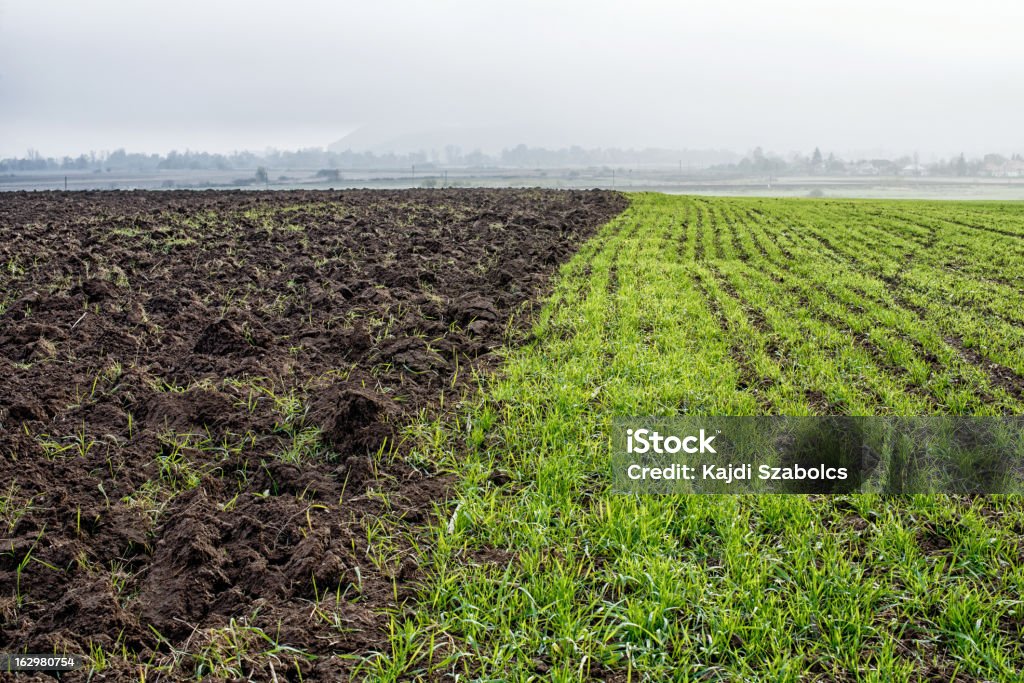 Campo arato - Foto stock royalty-free di Agricoltura