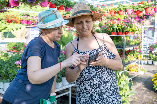 Two young women a customer and a saleswoman talking in a garden center. Both are looking at the client's phone. Lots of hanging colorful flower pots and shelves full of flower pots with flowers in the background.