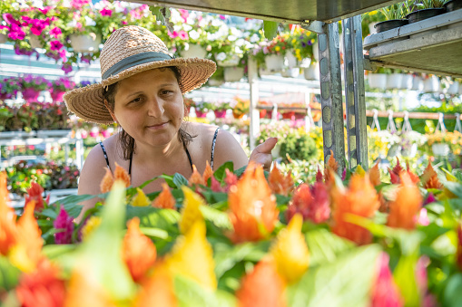 A young woman looks at Celosia Flowers at a garden center. Lots of hanging colorful flower pots and shelves full of flower pots with flowers in the background.
