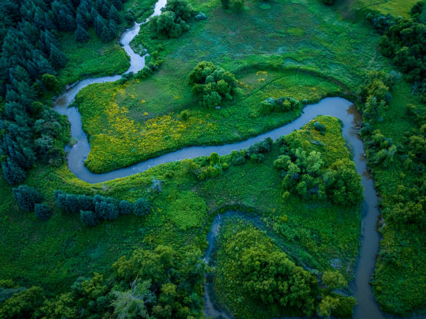 trilha do rio humber e ponte sarenhes ao entardecer no boyd conservation park woodbridge, vaughan, canadá - humber river fotos - fotografias e filmes do acervo