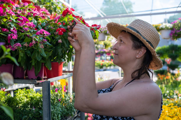 istock Young woman in a garden center. 1629818330