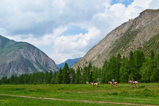 Gorny Altai, Russia, road in the mountains, horseback riding, tourists on horseback, outdoor recreation, away from civilization