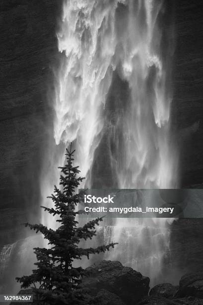 Rocky Mountain Wasserfall Landschaft Stockfoto und mehr Bilder von Colorado - Westliche Bundesstaaten der USA - Colorado - Westliche Bundesstaaten der USA, Schwarzweiß-Bild, Wasserfall