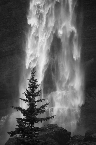 a tree in front of a waterfall creates abstract impressions of the landscape in black and white.  vertical composition with motion blur on water taken at bridal veil falls in telluride, colorado.  san juan range, colorado rocky mountains.