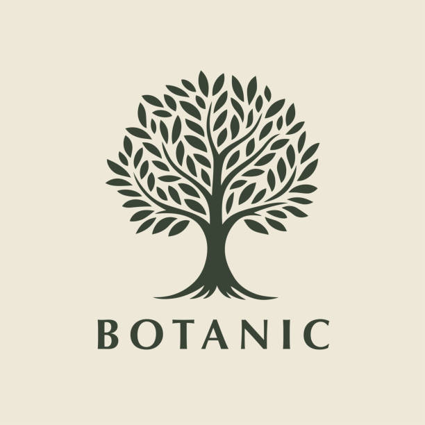 projekt ikony drzewa botanicznego - botanic stock illustrations