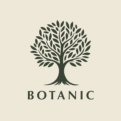 Botanic tree icon design. Organic nature sign. Natural plant emblem. Tree of life symbol. Vector illustration.
