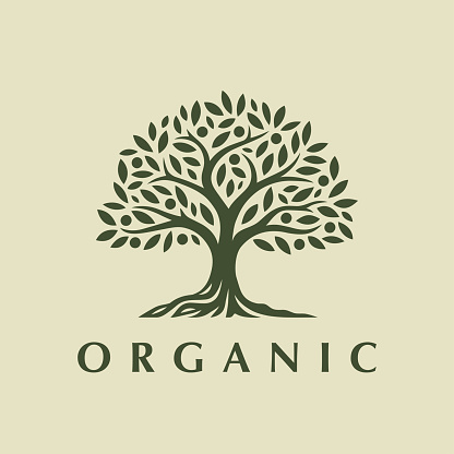 Organic tree icon design. Botanical natural fruit plant nature emblem. Tree of life symbol. Vector illustration.