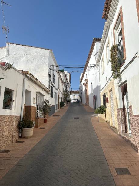 istock Small Andalusian town of Manilva 1629847063