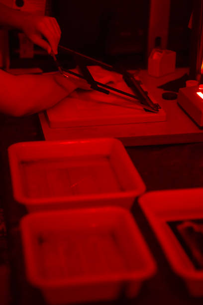 istock working in a photography darkroom 1629859205