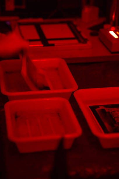 istock working in a photography darkroom 1629860785