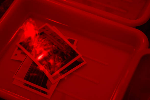 developing prints in a photographic darkroom