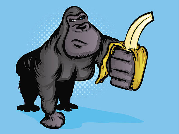 Gorilla Holding a Banana Cartoon illustration of a large monkey holding out a peeled banana. EPS 10 format with transparencies. huge silverback gorilla stock illustrations