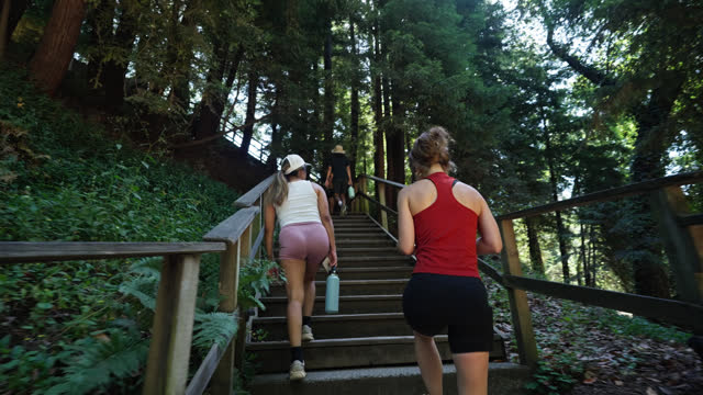 Group of Friends Climbing Stairs Through Forest