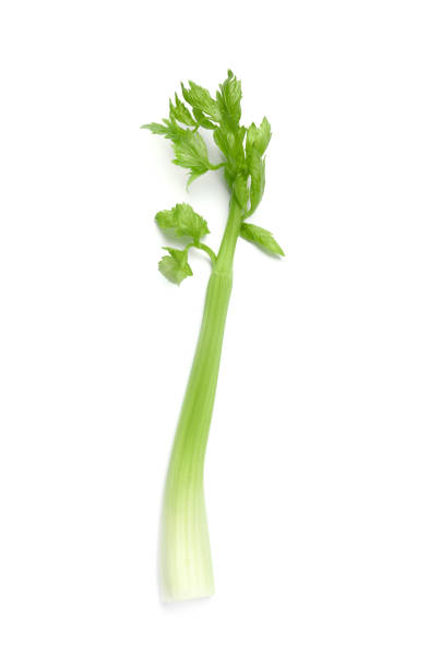 istock Fresh stalk of celery isolated on white, top view 1629920628