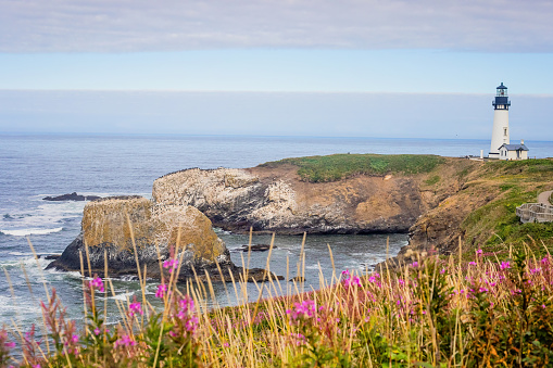 Scenic views at the Yaquina Head Lighthouse,  just north of Newport, Oregon