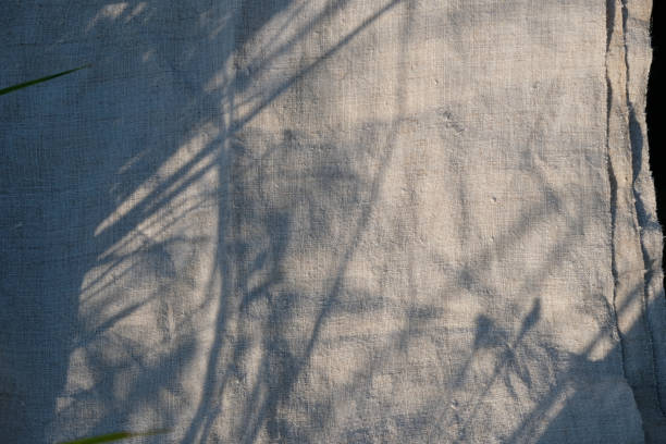 istock The hemp fabric. Sustainable lifestyle. 1629942342