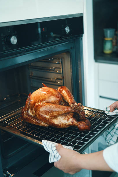 istock Preparing Stuffed Turkey for Holidays in Domestic Kitchen 1629950083