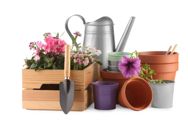 istock Beautiful flowers, pots and gardening tools isolated on white 1629979892