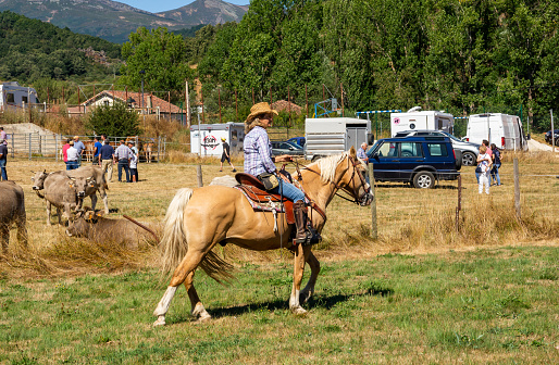 Cowboys are riding horses and lassoing in rodeo arena in Utah, USA.