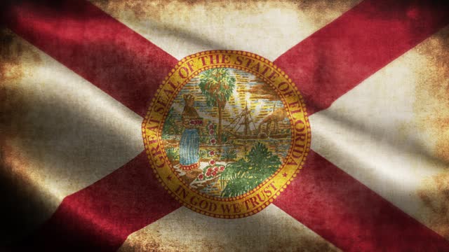 American State Closeup of grunge Florida waving flag loopable stock video