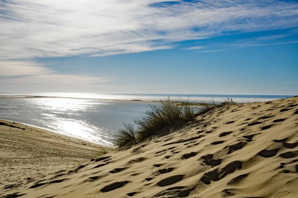 istock The Dune of Pilat 1630029735