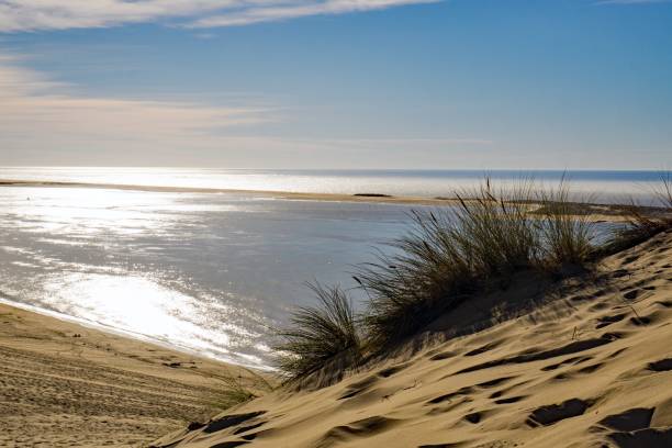 istock The Dune of Pilat 1630030267