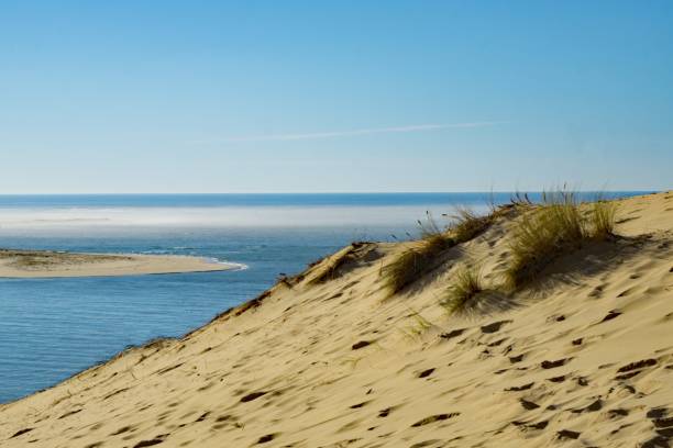 istock The Dune of Pilat 1630030502