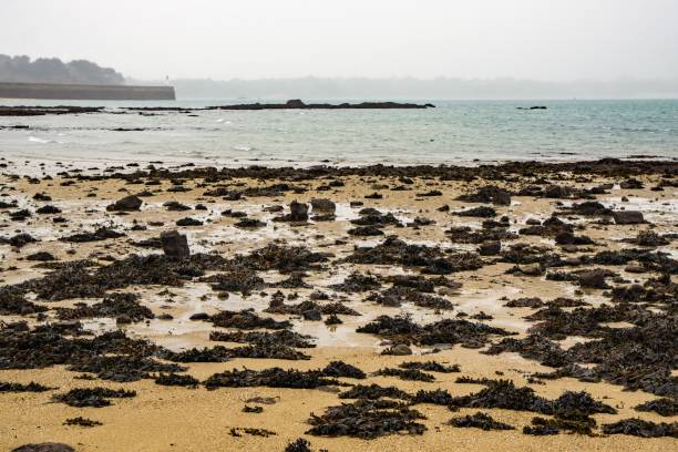 istock Beach of Saint-Malo 1630035035