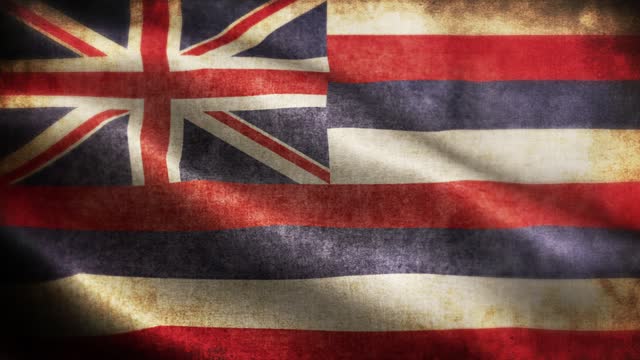 American State Closeup of grunge Hawaii waving flag loopable stock video
