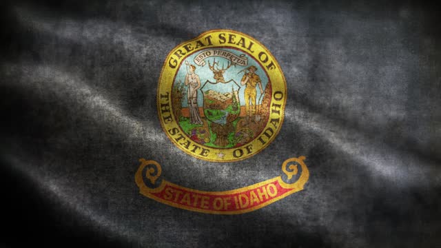 American State Closeup of grunge Idaho waving flag loopable stock video