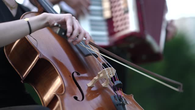 Live Music Performance with Accordion vs Double Bass, Music Festival, Music Artists