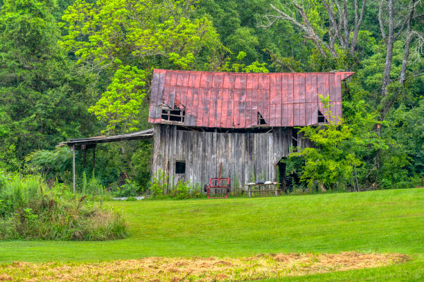 istock Abandoned Old Barn In the Summer Rain 1630058335