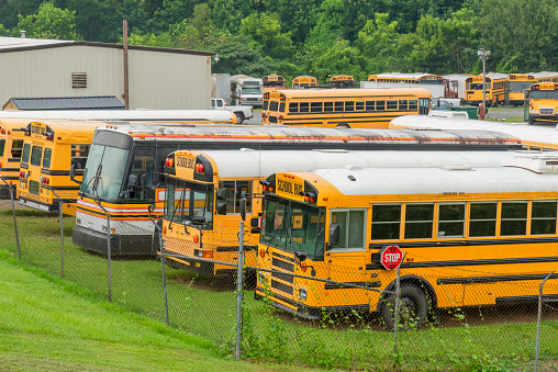 Horizontal shot of a lot full of school buses in a school bus storage area.